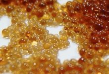 رزین کالیفرنیوم زرد چیست؟ - انواع رزین ها