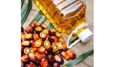 روغن پالم در چه مواد غذایی یافت می شود؟