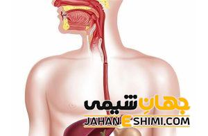 10 علامت خطرناک زخم مری | روش درمان معجزه آسای زخم مری