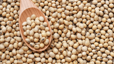 طرز تهیه ایزوله سویا