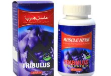 مزایای فوق العاده کپسول ماسل هرب برای عضله سازی و تقویت بدن