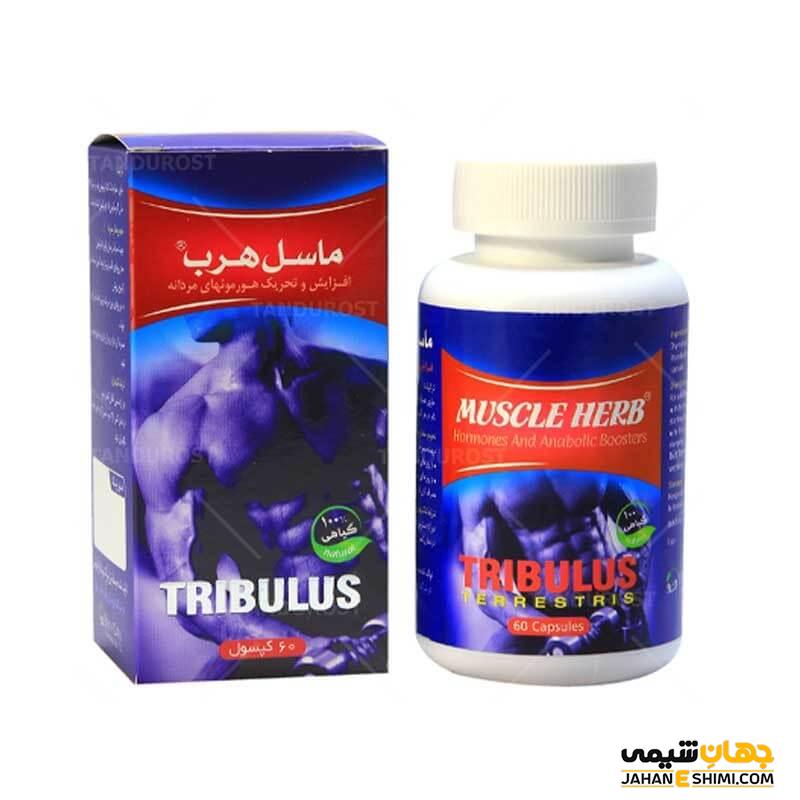 مزایای فوق العاده کپسول ماسل هرب برای عضله سازی و تقویت بدن
