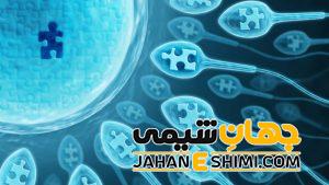 واریکوسل چیست؟ | دارو و درمان واریکوسل