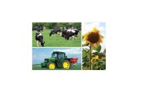 کود کربنات پتاسیم چیست؟ - خواص و نحوه تولید آن