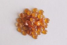 آنتی اکسیدان TMQ چیست؟ - خواص و مزایا