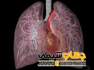 علائم و دلیل آمبولی ریه چیست؟ | دارو و درمان آمبولی ریه
