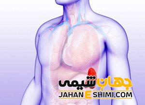 دلیل بزرگ شدن طحال چیست؟ | دارو و درمان بزرگ شدن طحال