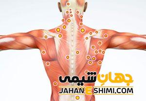 احساس سوزش در نقاط مختلف بدن به چه دلیل رخ می دهد؟ | دارو و درمان احساس سوزش