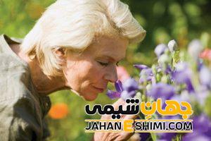 آنوسمی یا نابویایی چیست؟ | دارو و درمان شگفت انگیز آنوسمی یا کربویی
