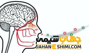آنوسمی یا نابویایی چیست؟ | دارو و درمان شگفت انگیز آنوسمی یا کربویی