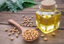 روغن سویا دامی چیست؟ - ویژگی ها و مزایای آن