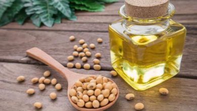 روغن سویا دامی چیست؟ - ویژگی ها و مزایای آن