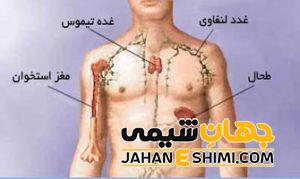 دلیل بزرگ شدن طحال چیست؟ | دارو و درمان بزرگ شدن طحال