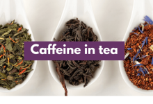 کافئین چای چیست؟ - خواص و مزایا