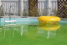 راههای ساده و کاربردی پیشگیری از جلبک استخر کدامند؟