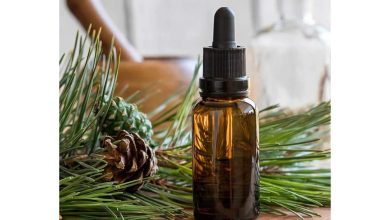 روغن کاج برای مو چه خاصیتی دارد؟