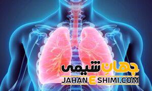 کند دمی چیست و به چه دلیلی رخ می دهد؟ | دارو و درمان کند دمی
