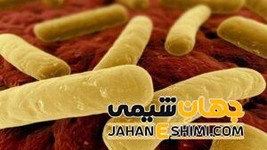 مدفوع سیاه و تیره نشانه چیست؟ | دارو درمان مدفوع سیاه و تیره