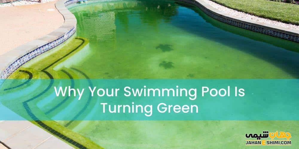 علت سبز شدن آب استخر شنا چیست؟