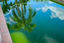 شفاف سازی آب استخر چگونه انجام می شود؟