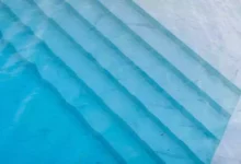 کرم استخر چیست و چگونه می توان از آنها خلاص شد؟