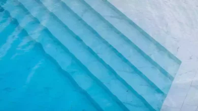 کرم استخر چیست و چگونه می توان از آنها خلاص شد؟