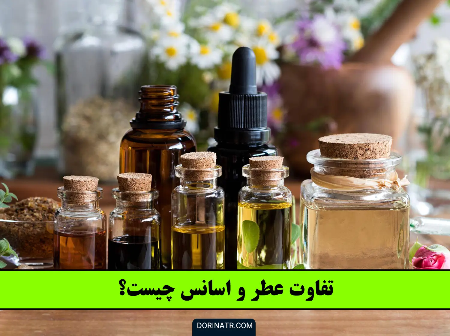 انواع اسانس عطر