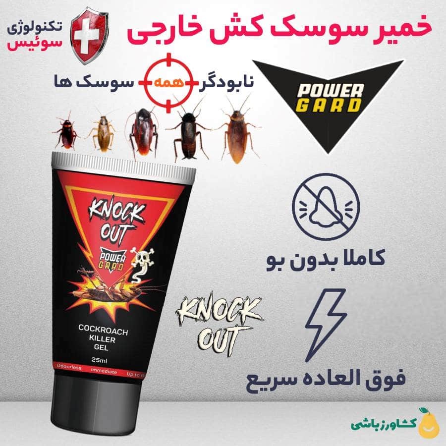 خمیر سوسک کش ناک اوت Knockout 2x